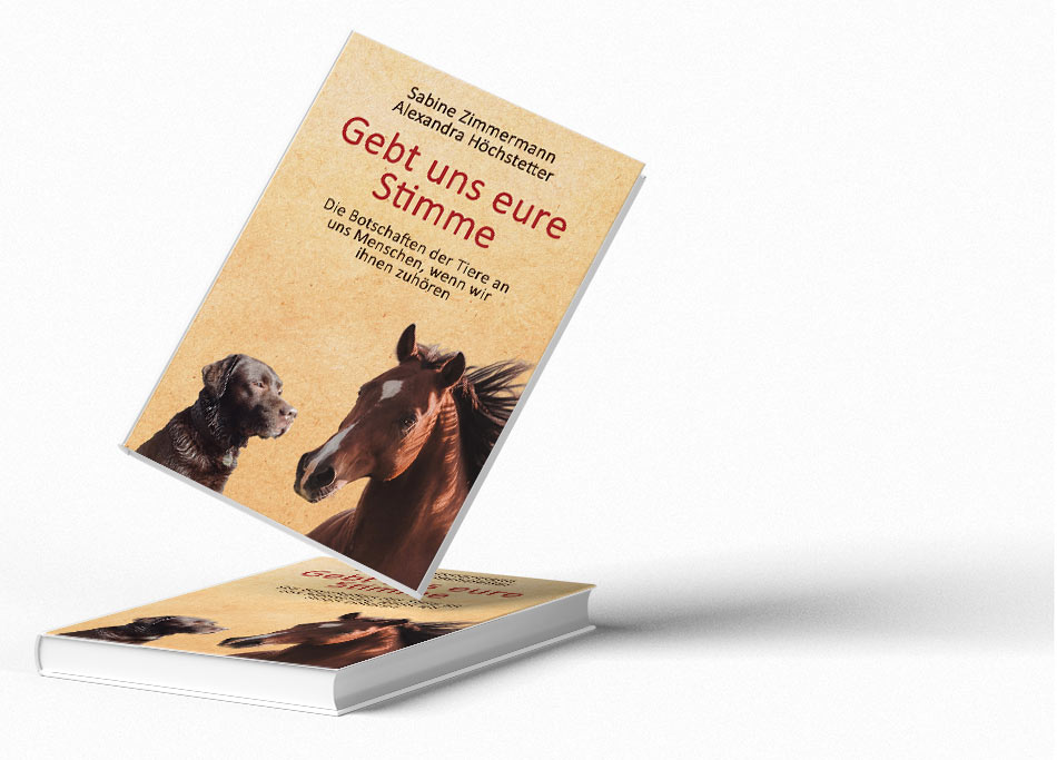 Buch: Gebt uns eure Stimme